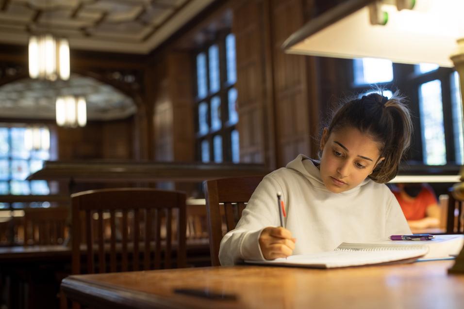 Undergraduate student studying in Linderman Library